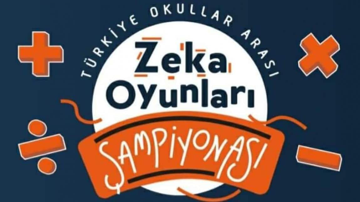 Türkiye Zeka Vakfı Zeka Oyunları BölgeFinalistleri Belli Oldu